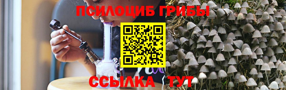 Галлюциногенные грибы ЛСД Балтийск